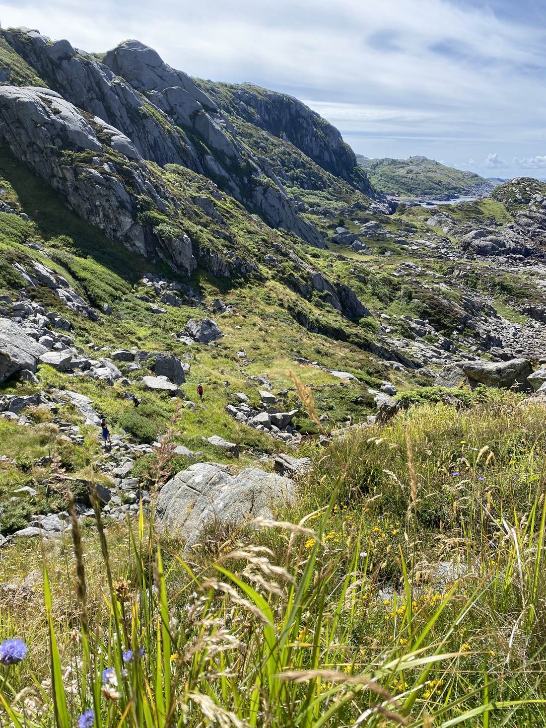 Turterreng med fjell og kyst på Lista